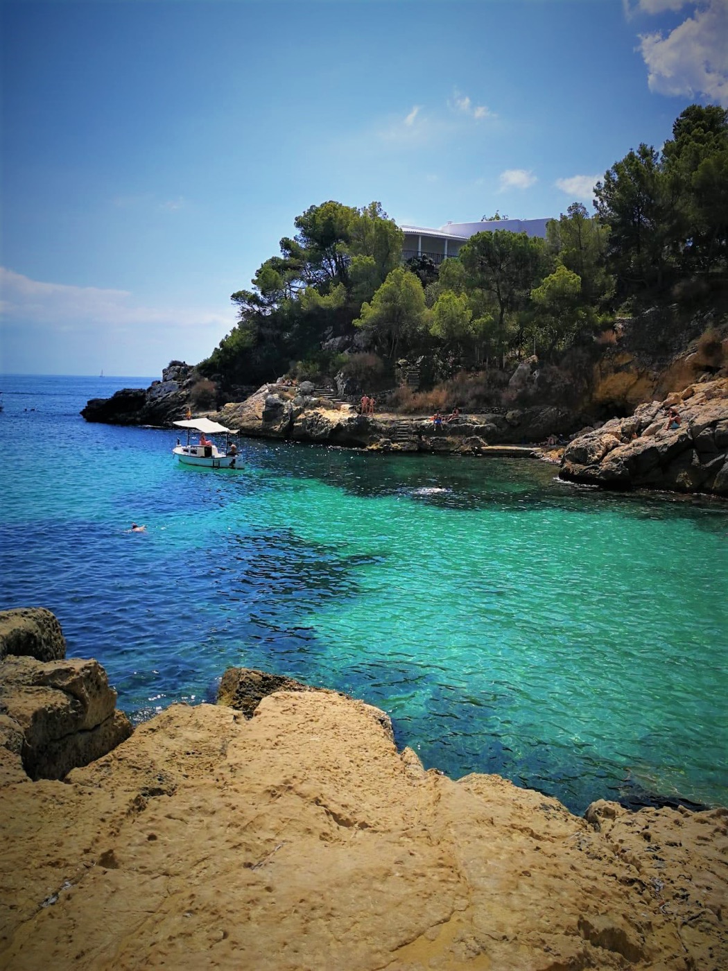 Pinienwald an der Küste von Mallorca