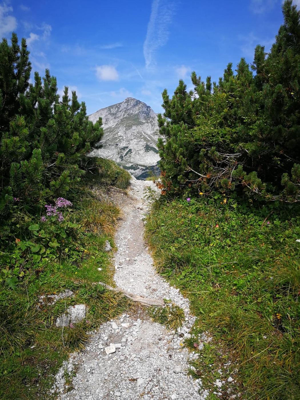 Ausblick vom Grat des Hochschwab