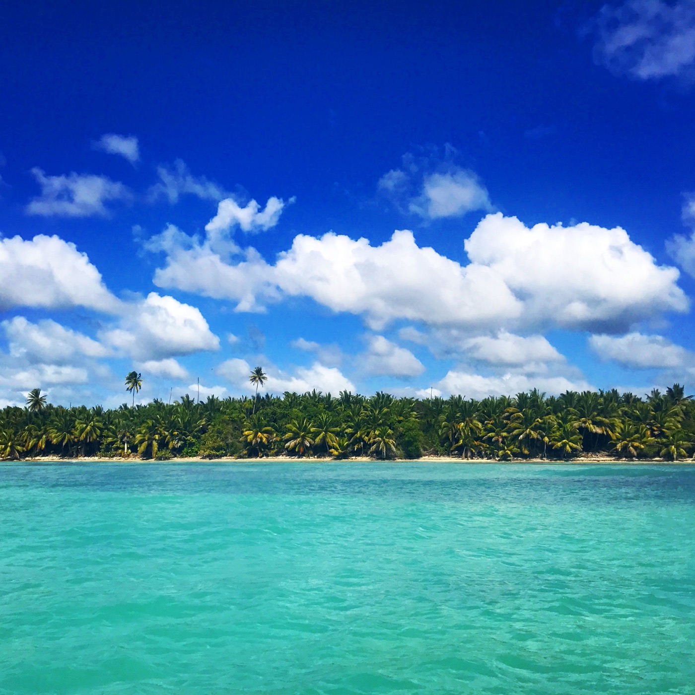 Türkisblaues Meer bei der Isla Saona