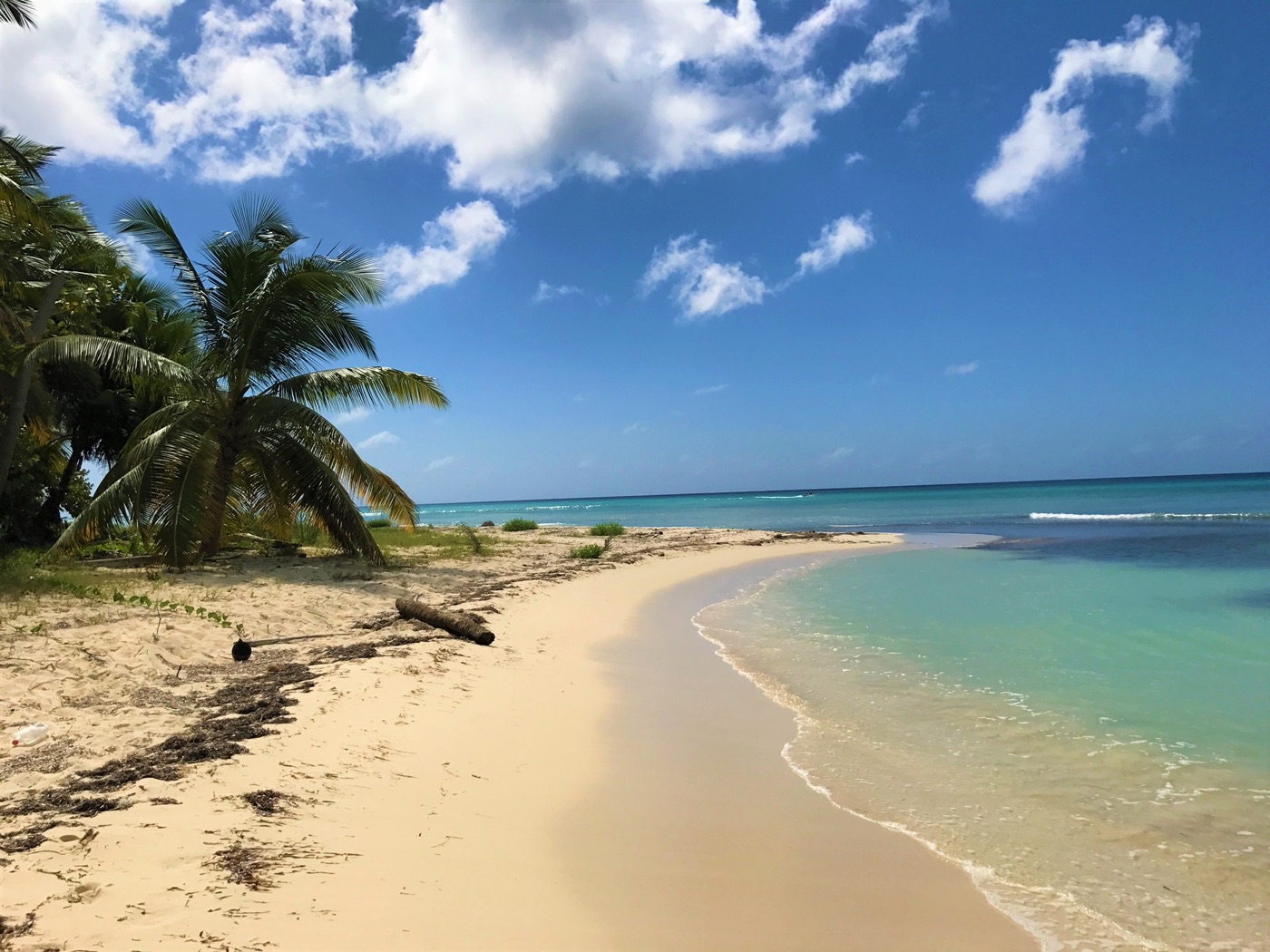 Einsamer Strandabschnitt der Isla Saona