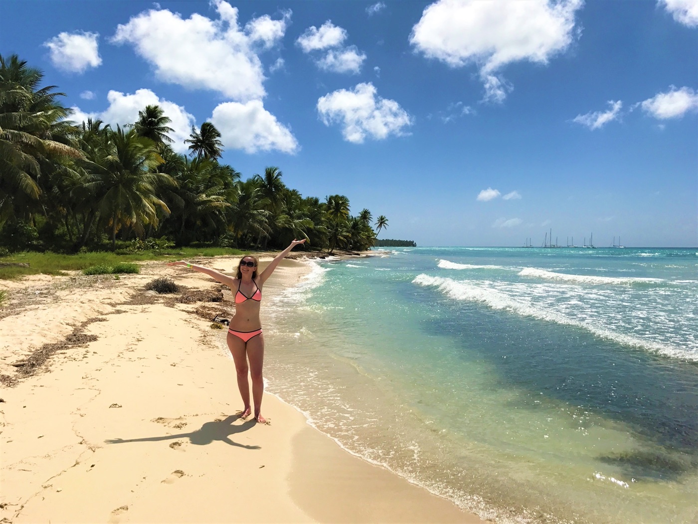 Palmen am Ufer der Isla Saona