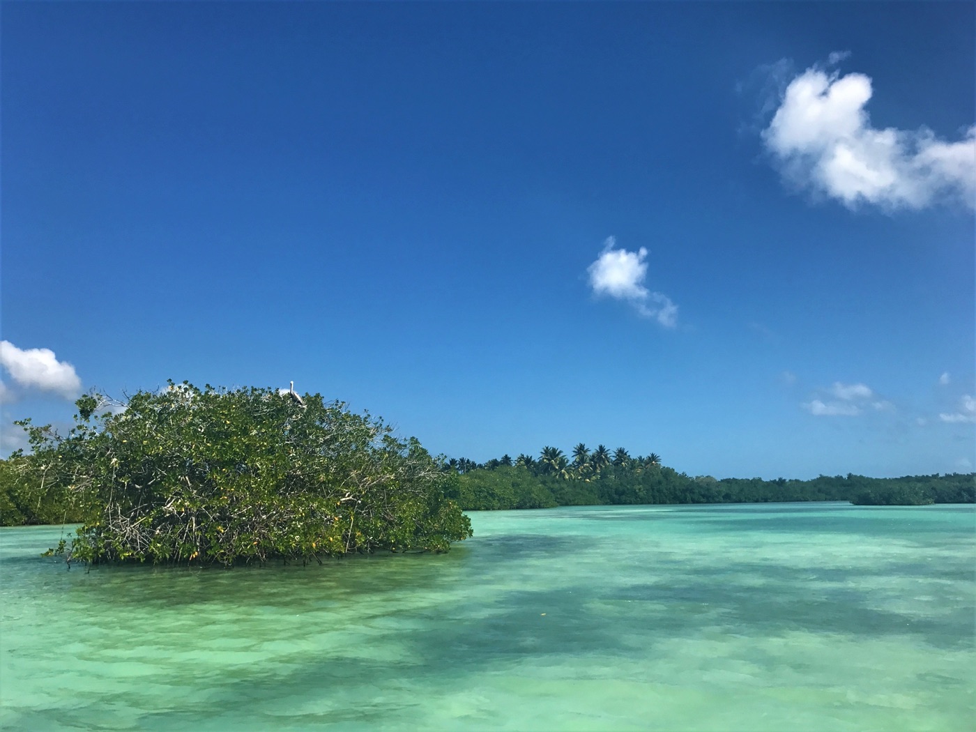Sandbank im türkisen Meer bei der Isla Saona