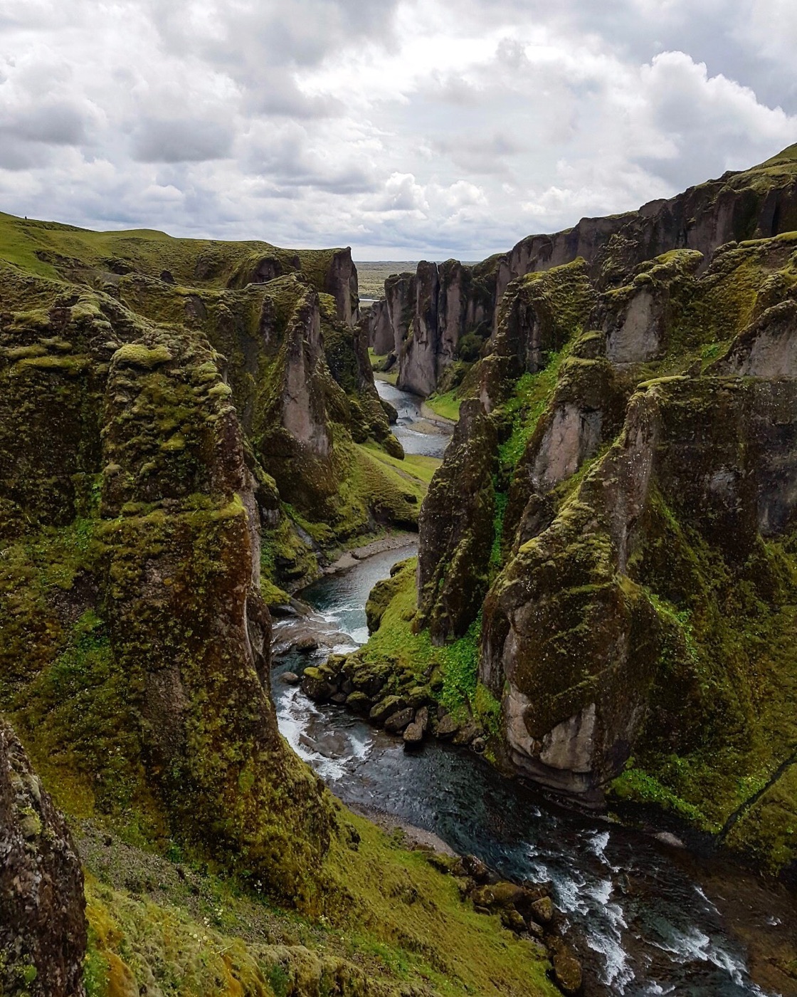 Schlucht mit grünem Moos in Island